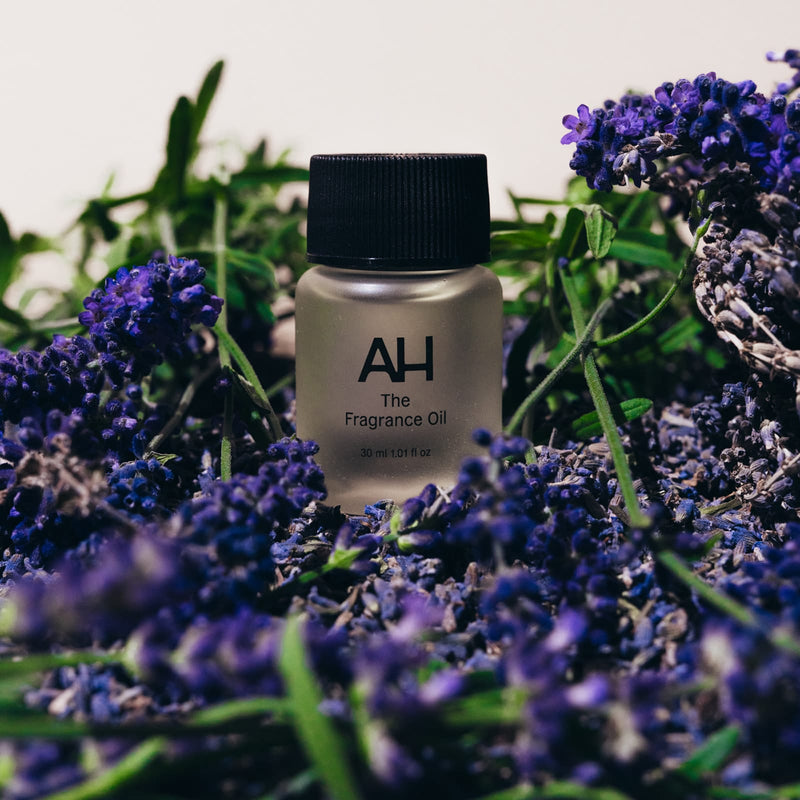 Lavender de Provence