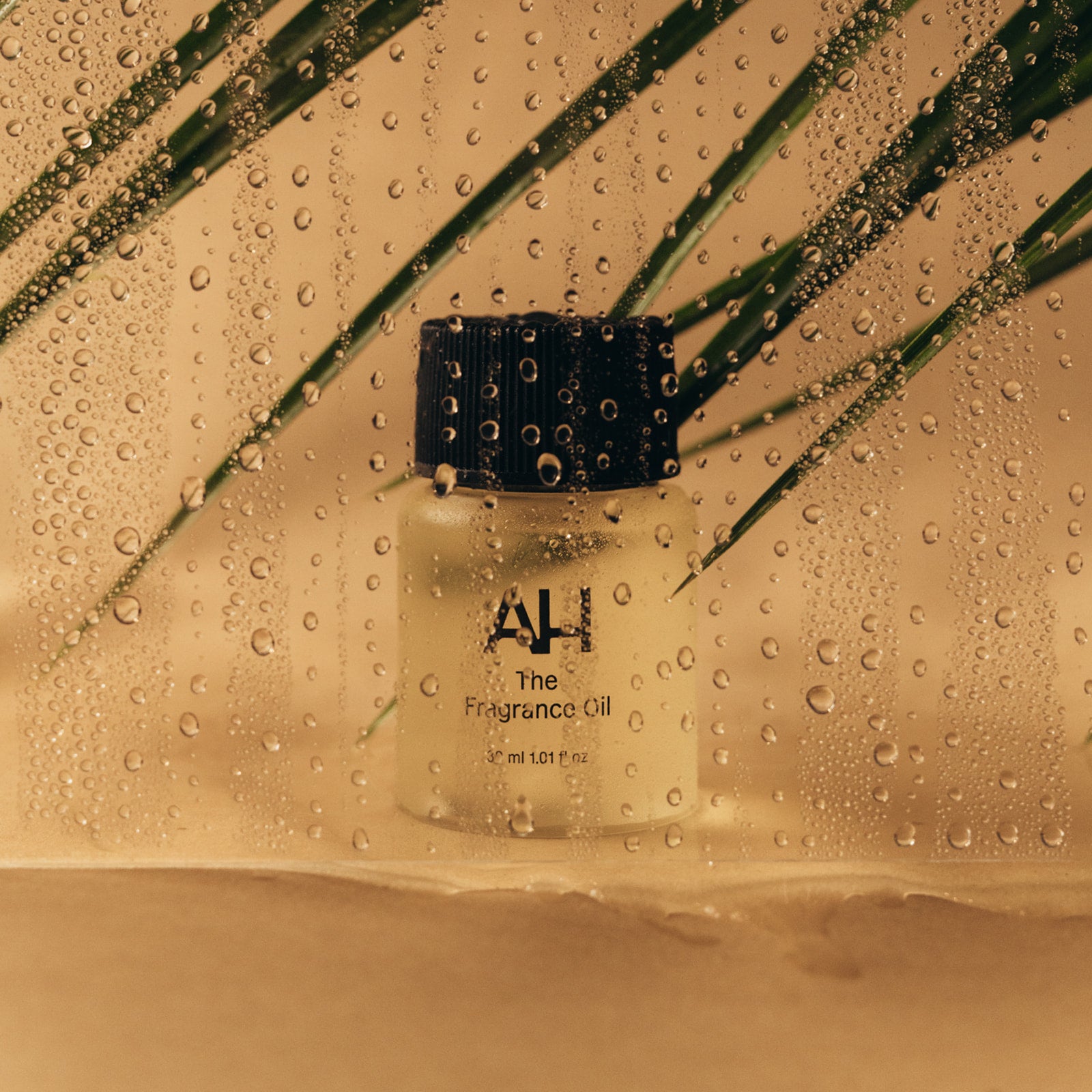 The Starter Kit – Aura House