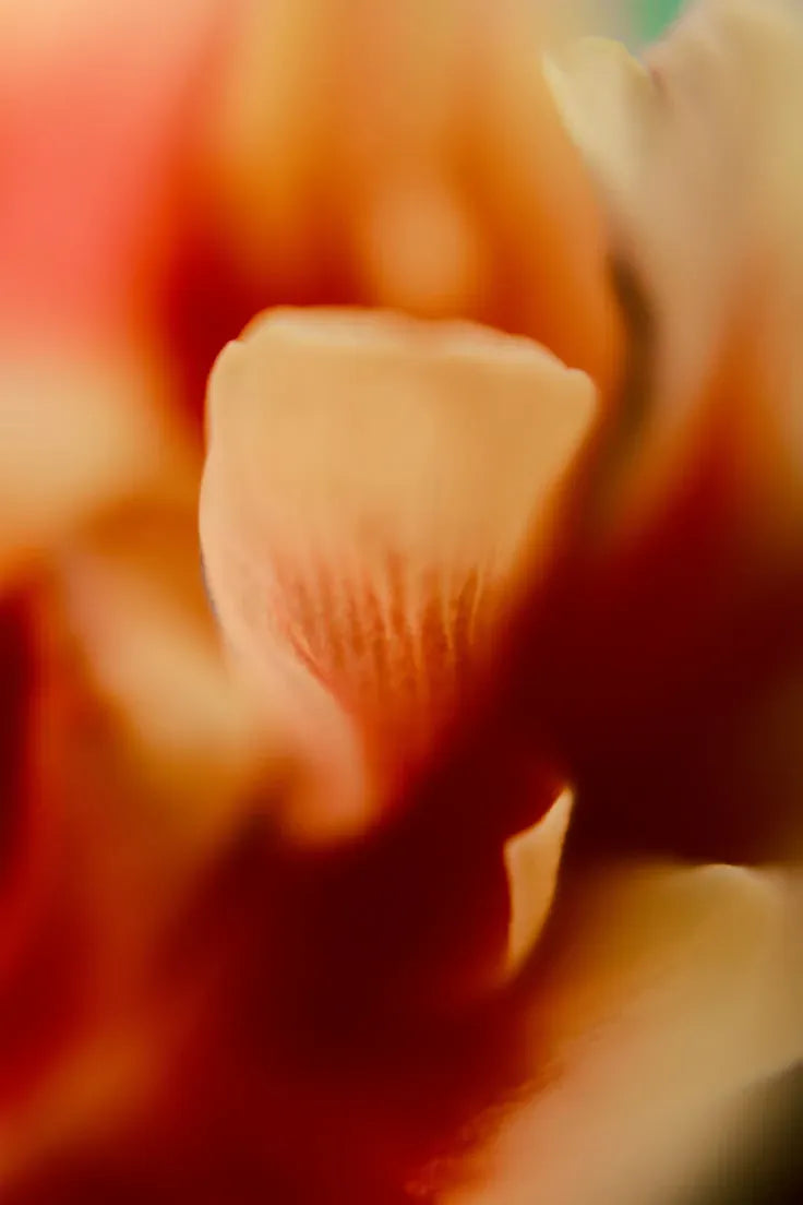 Passion